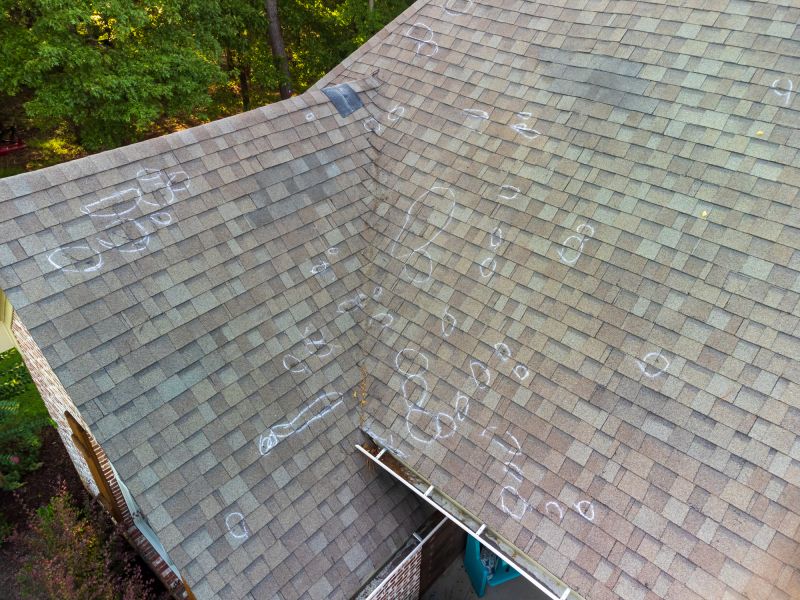Asphalt Roof Inspection detail